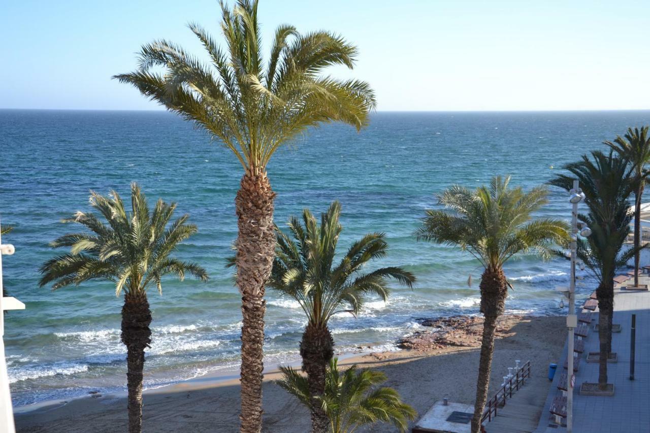 Apartamento Rod Torrevieja Dış mekan fotoğraf